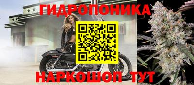 ГАЛЛЮЦИНОГЕННЫЕ ГРИБЫ Дмитров