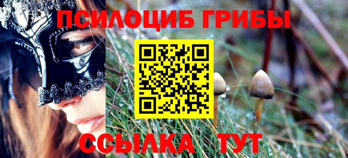 как найти наркотики  Вход с VPN  Балашов  Галлюциногенные грибы мицелий 